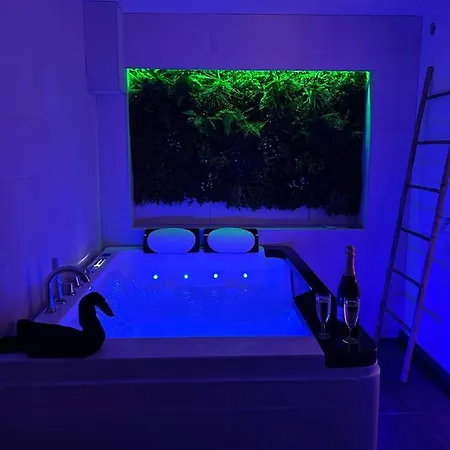 Beau Avec Jacuzzi * Barr